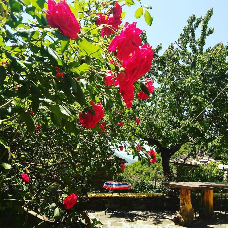 פאפיגקון Morfeas Guesthouse מראה חיצוני תמונה